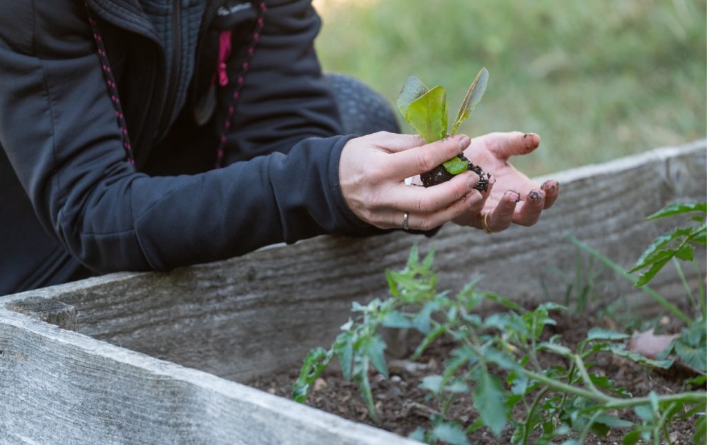 img_portager_leap2@2x