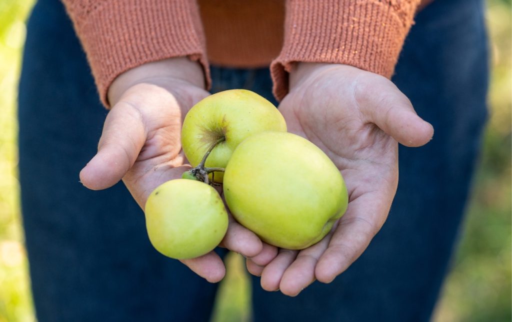 img_portager_leap5@2x