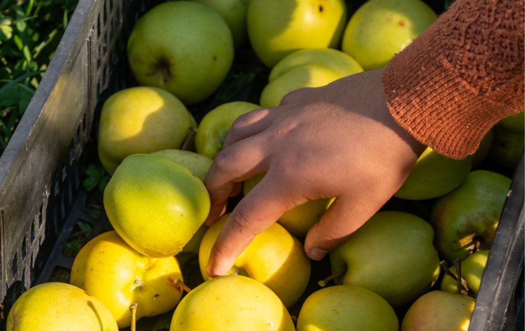 img_portager_leap6@2x