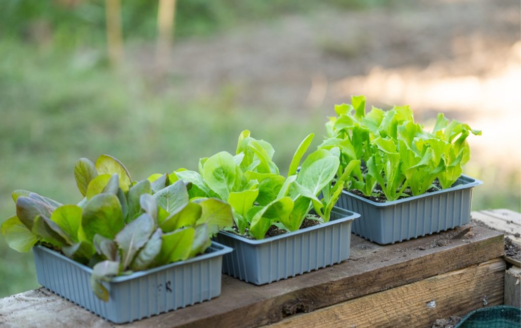 img_portager_leap@2x